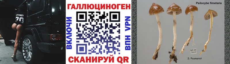 Псилоцибиновые грибы прущие грибы  Макаров 