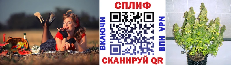 что такое наркотик  Макаров  Бошки марихуана конопля 